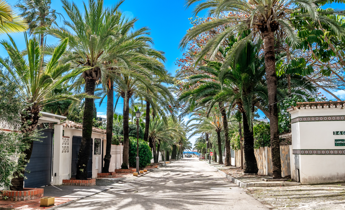 Plot with views in Marbesa, project with building license granted: