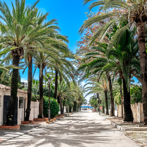 Plot with views in Marbesa, project with building license granted: