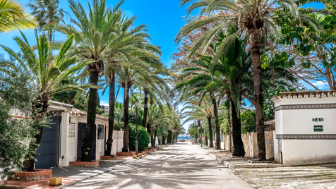 Plot with views in Marbesa, project with building license granted: