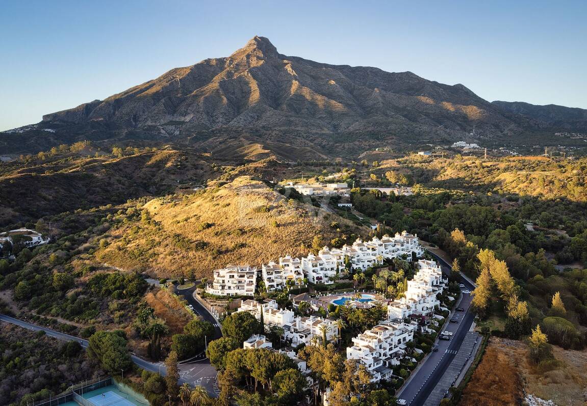 Lujoso adosado con sofisticado diseño escandinavo