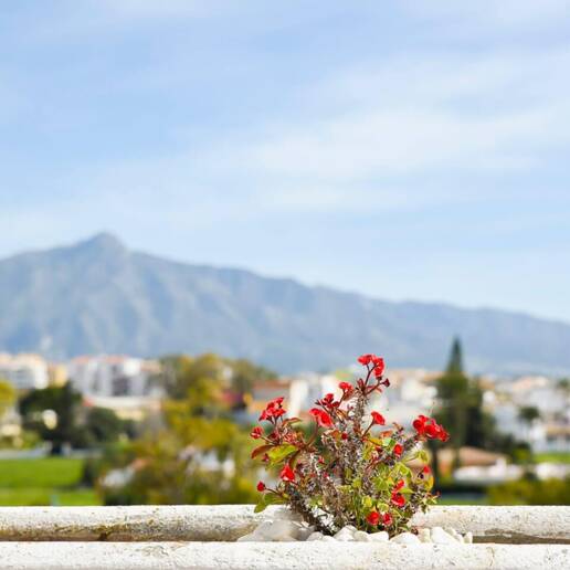 Duplex do wynajęcia w Guadalmina Baja, San Pedro de Alcantara