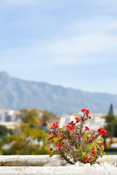 Property Contact Image