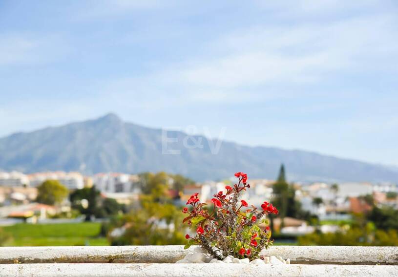 Duplex do wynajęcia w Guadalmina Baja, San Pedro de Alcantara