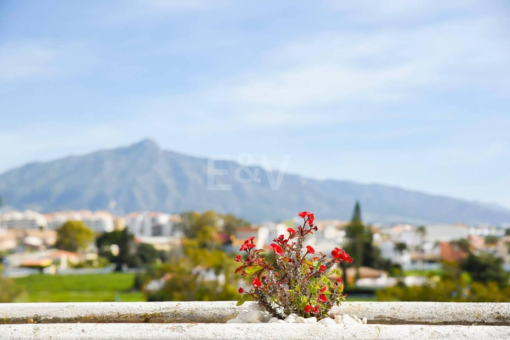 Duplex do wynajęcia w Guadalmina Baja, San Pedro de Alcantara