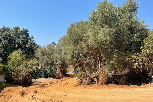 Prime Building Plot with Stunning Project in El Rosario