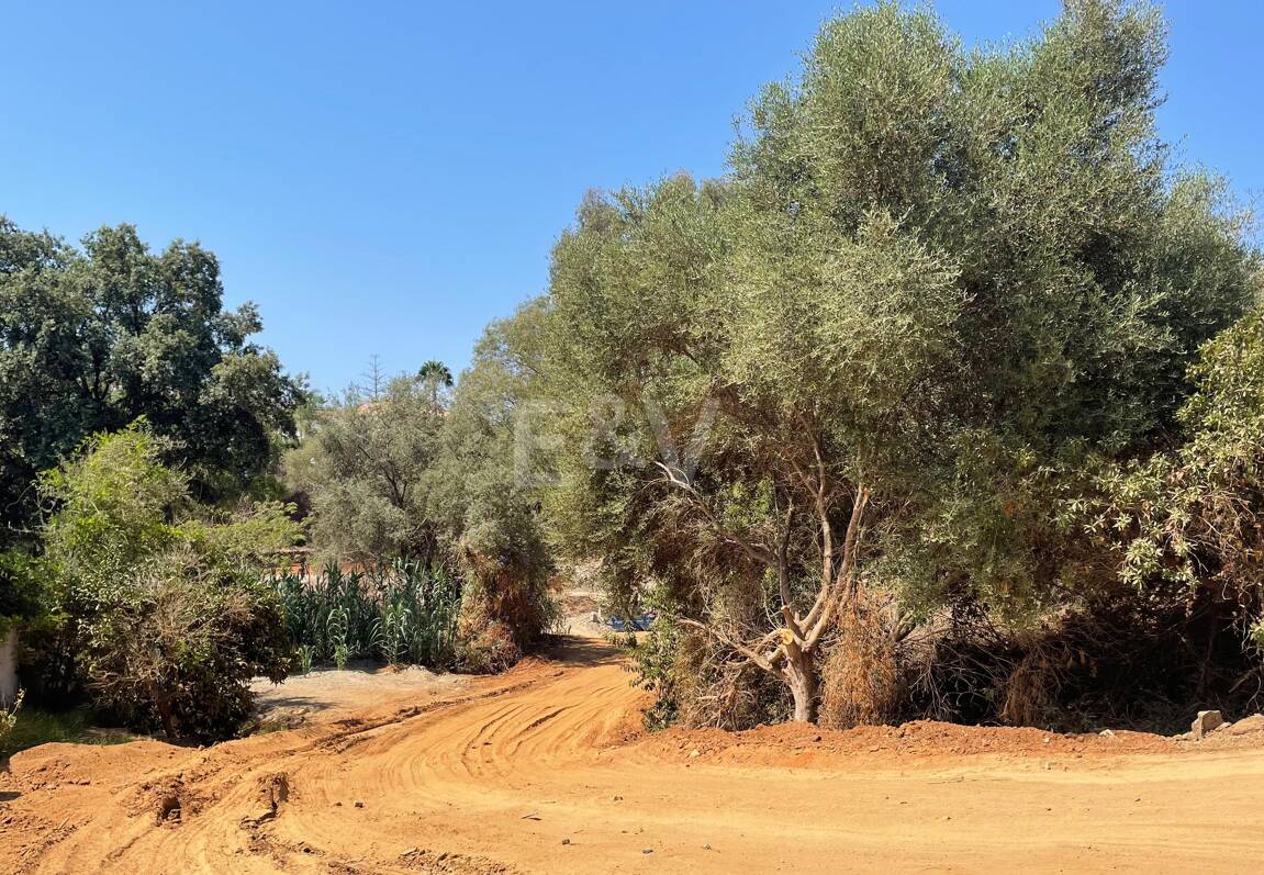 Prime Building Plot with Stunning Project in El Rosario