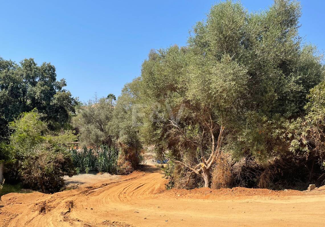 Premier terrain de construction avec projet stupéfiant à El Rosario