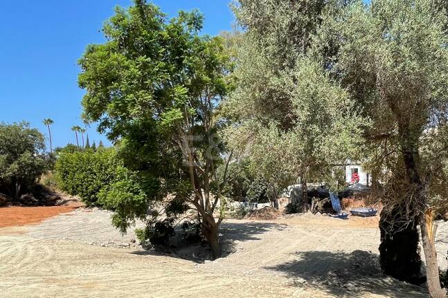 Large Building Plot with Project in El Rosario