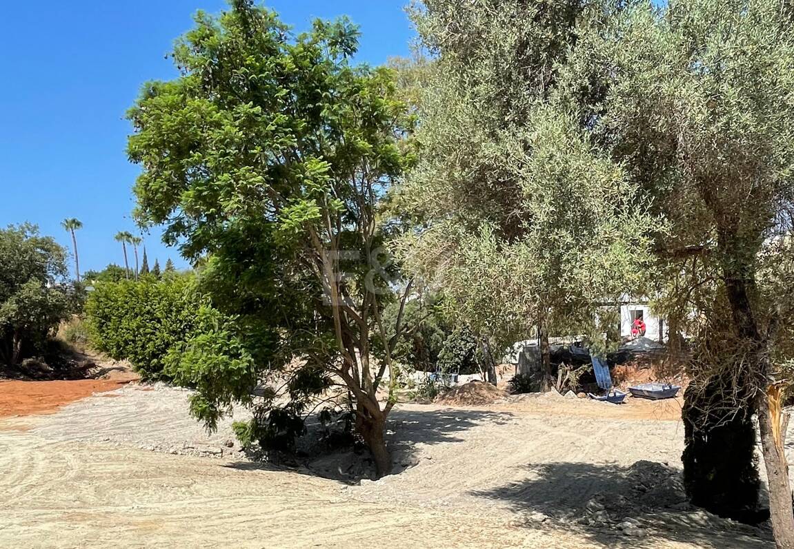 Large Building Plot with Project in El Rosario