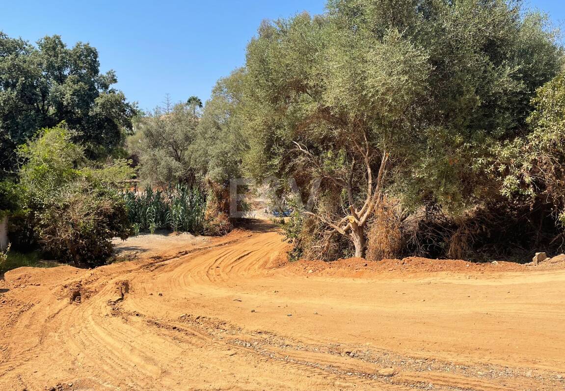 Large Building Plot with Project in El Rosario