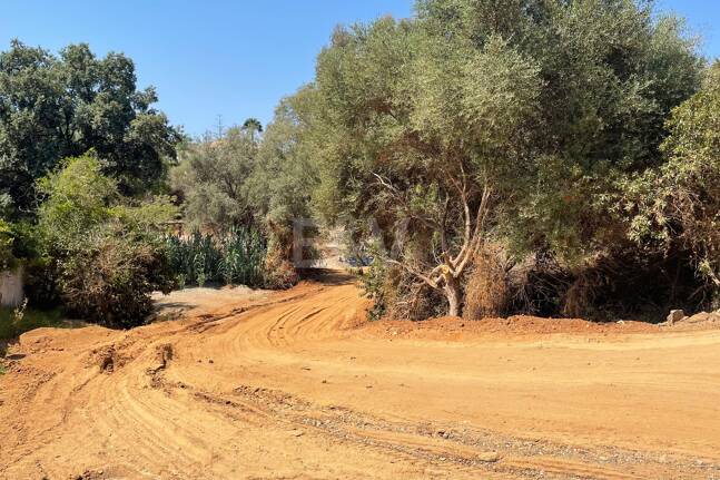 South Facing Plot with Project in El Rosario