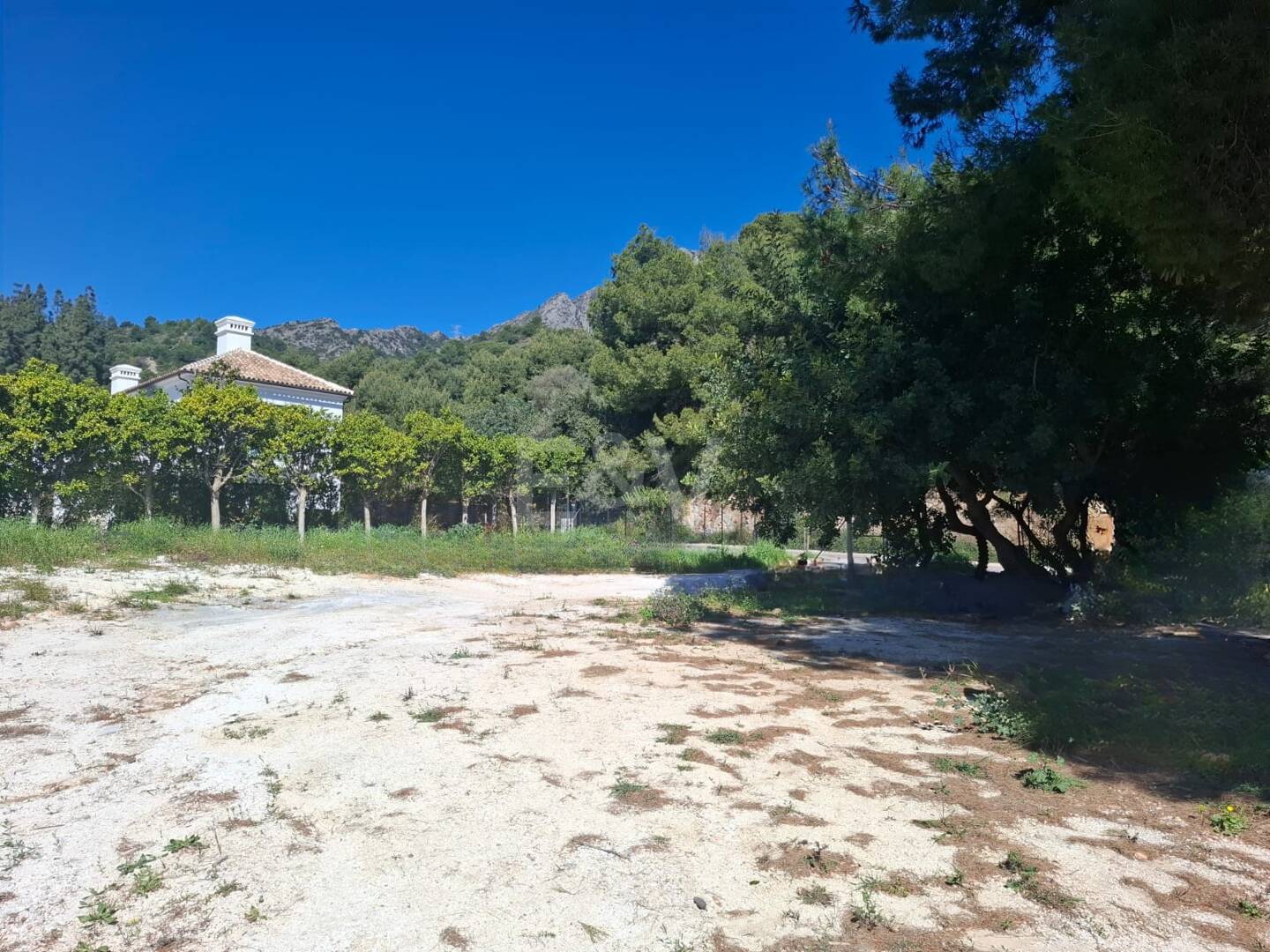 Exklusives Grundstück in Camoján - Toplage mit atemberaubendem Meerblick