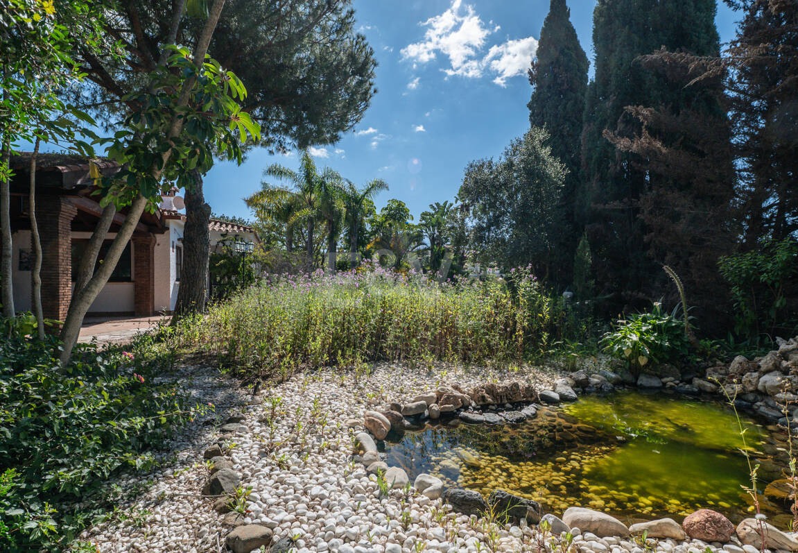 Lås upp oändliga möjligheter: Prime Plot i prestigefyllda Elviria