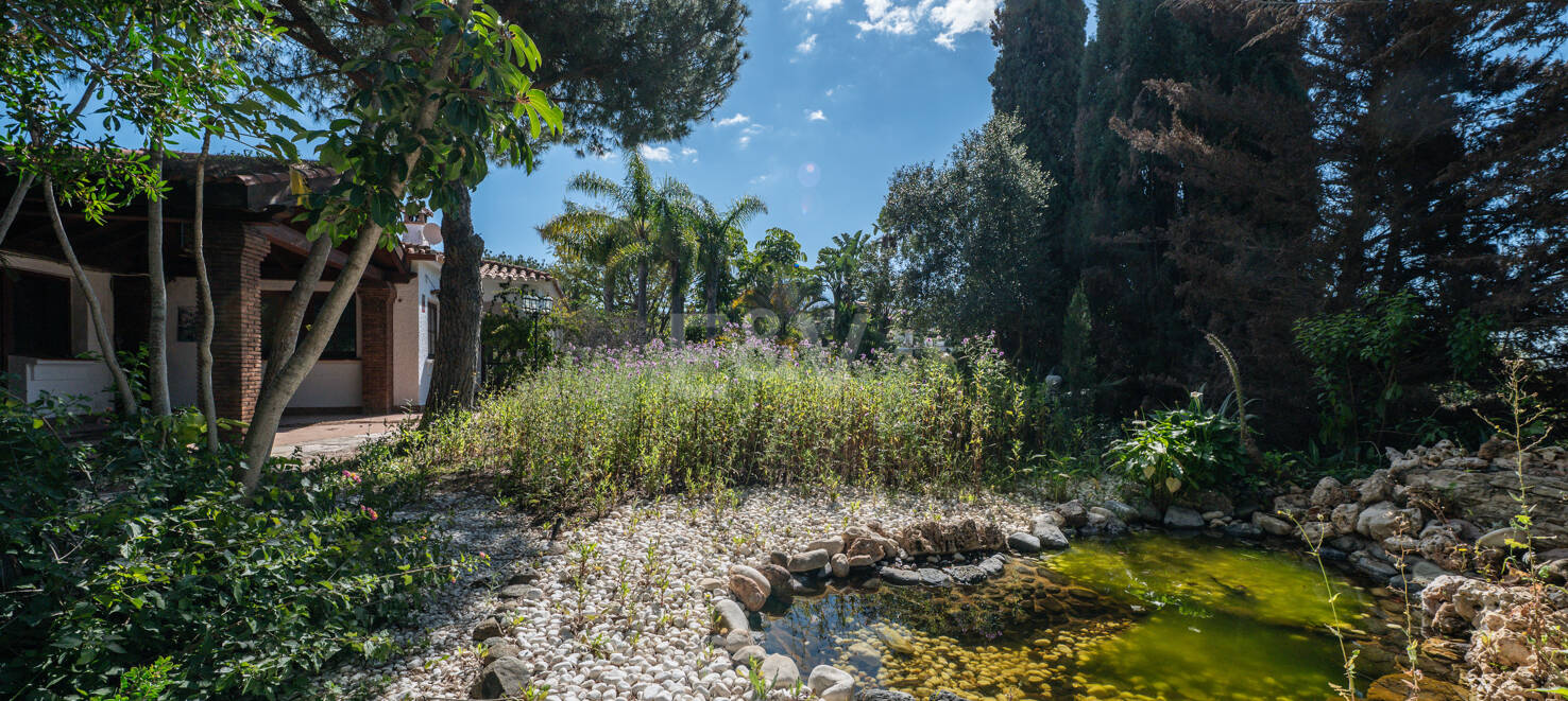 Unlock Endless Possibilities: Prime Plot in Prestigious Elviria