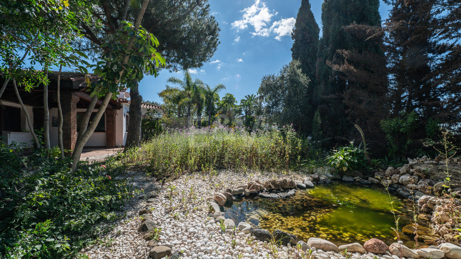 Lås upp oändliga möjligheter: Prime Plot i prestigefyllda Elviria