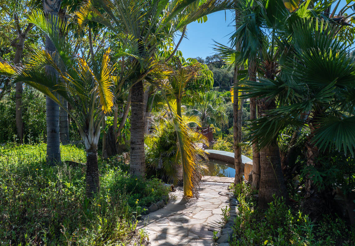 Lås upp oändliga möjligheter: Prime Plot i prestigefyllda Elviria