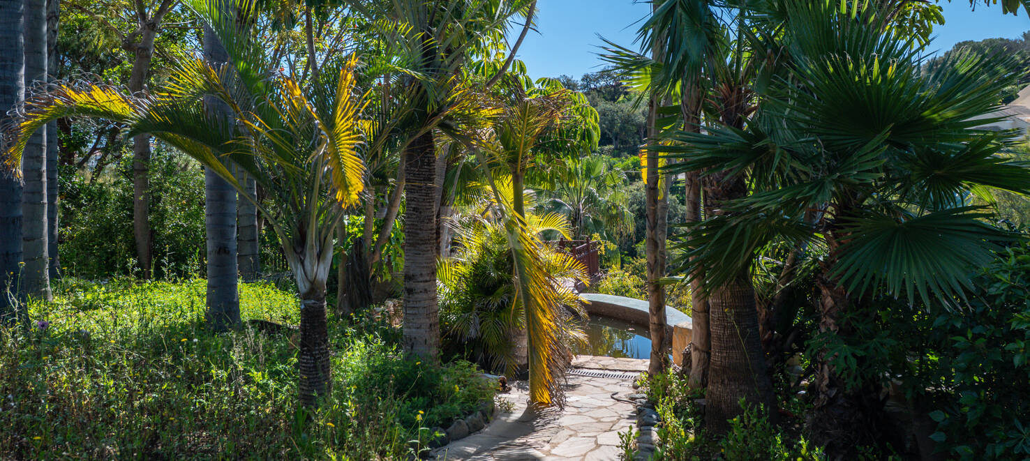 Unlock Endless Possibilities: Prime Plot in Prestigious Elviria