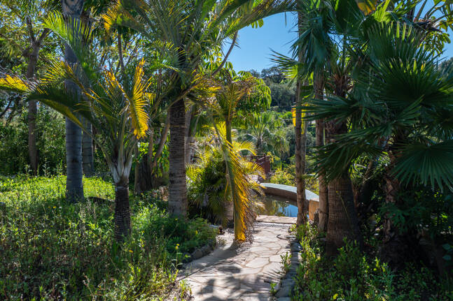 Lås upp oändliga möjligheter: Prime Plot i prestigefyllda Elviria