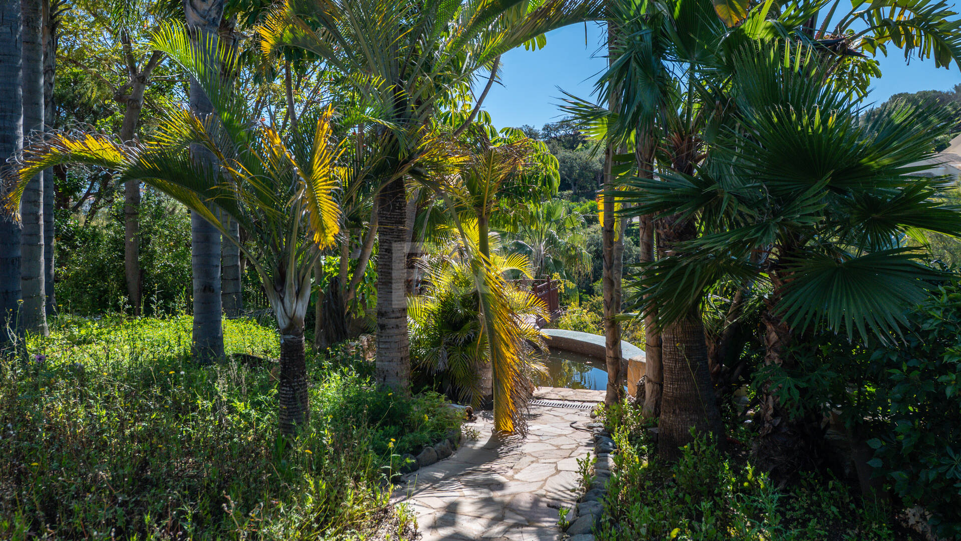 Unlock Endless Possibilities: Prime Plot in Prestigious Elviria