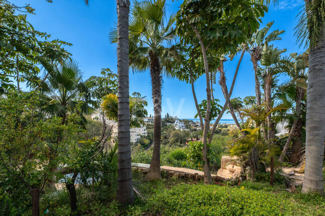 Lås upp oändliga möjligheter: Prime Plot i prestigefyllda Elviria