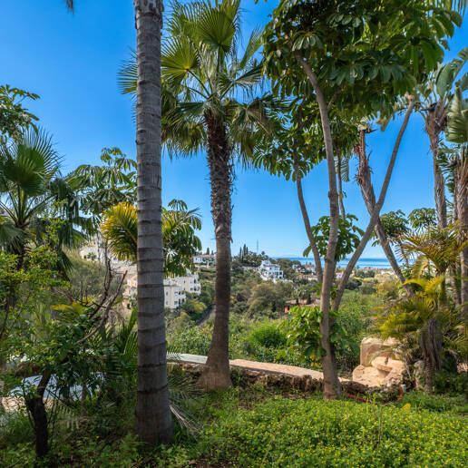 Unlock Endless Possibilities: Prime Plot in Prestigious Elviria