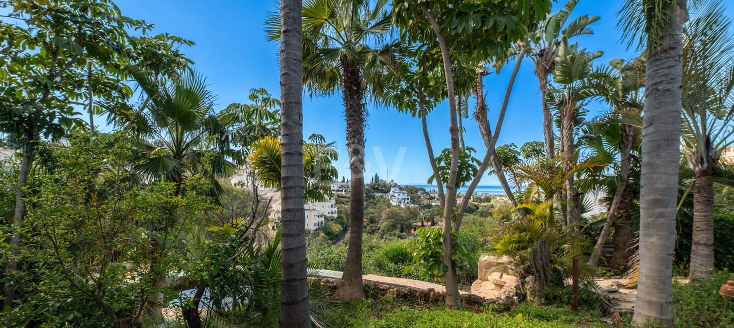Unlock Endless Possibilities: Prime Plot in Prestigious Elviria