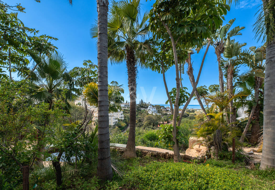 Lås upp oändliga möjligheter: Prime Plot i prestigefyllda Elviria