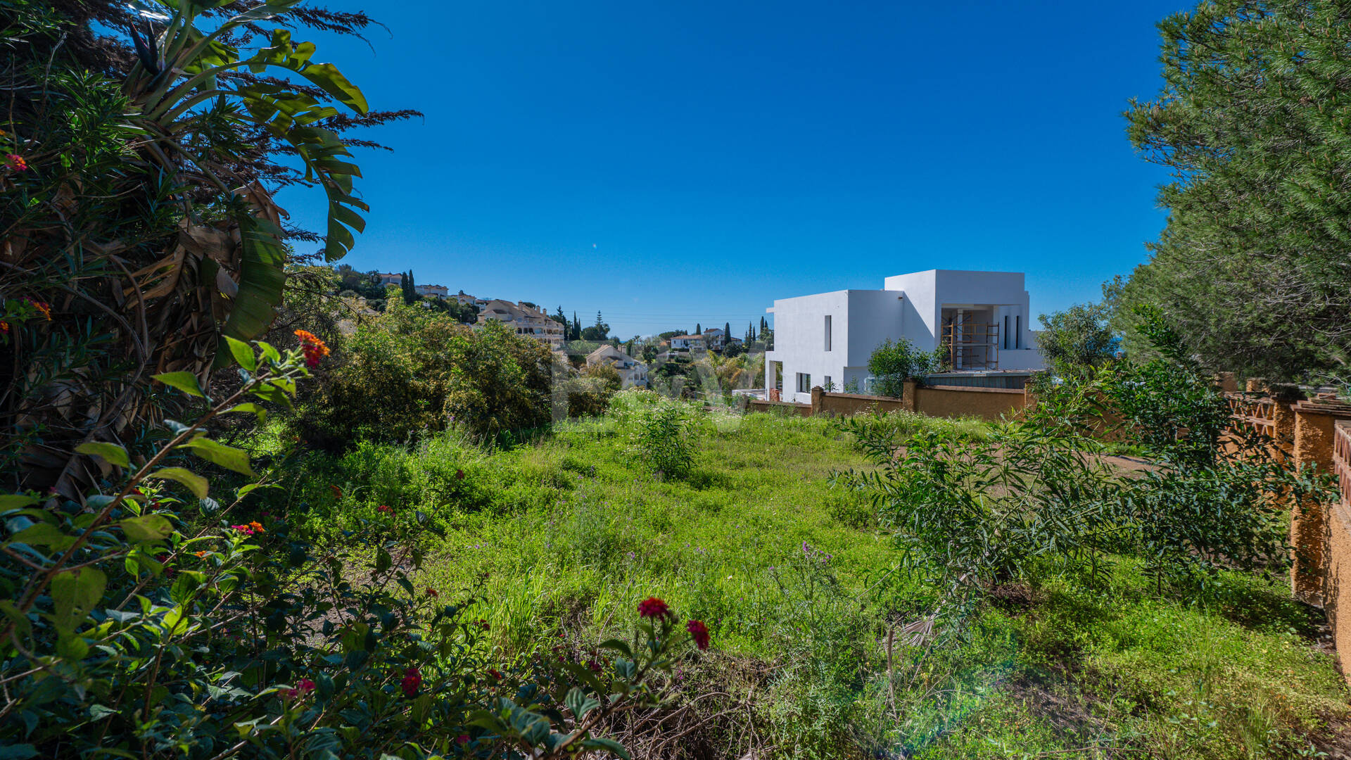 Unlock Endless Possibilities: Prime Plot in Prestigious Elviria