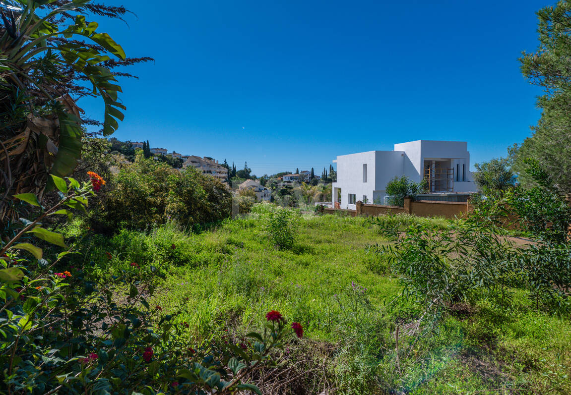 Lås upp oändliga möjligheter: Prime Plot i prestigefyllda Elviria