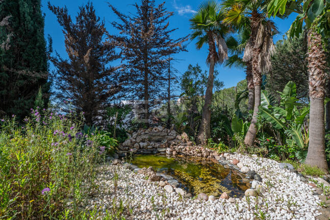 Lås upp oändliga möjligheter: Prime Plot i prestigefyllda Elviria