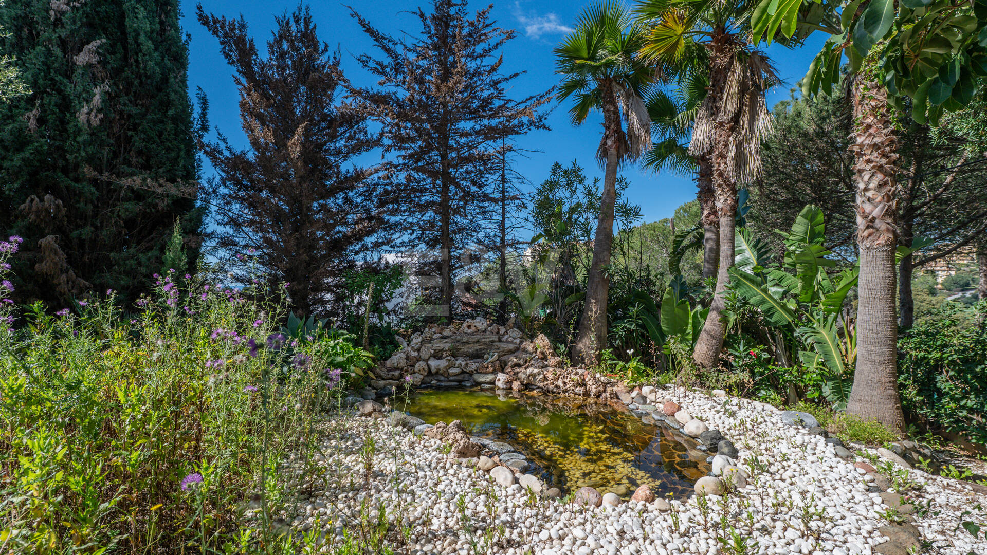 Unlock Endless Possibilities: Prime Plot in Prestigious Elviria