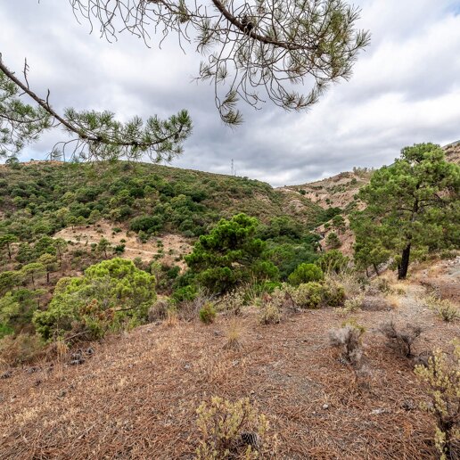 Prime Building Plot in La Zagaleta with Stunning Golf Views