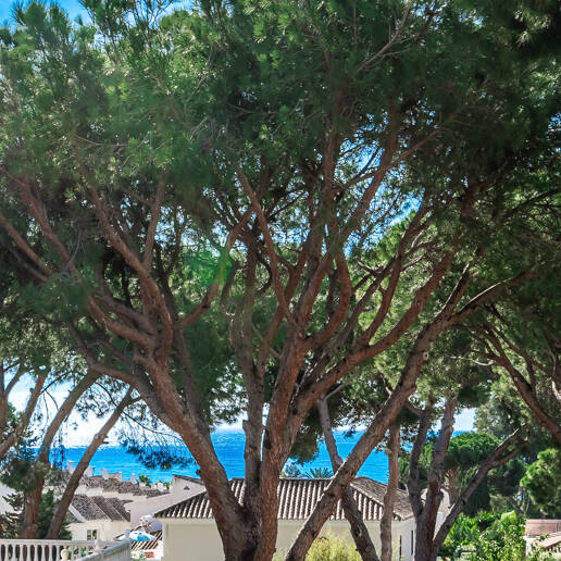 Charmig Villa Nära till stranden i Playas Andaluzas