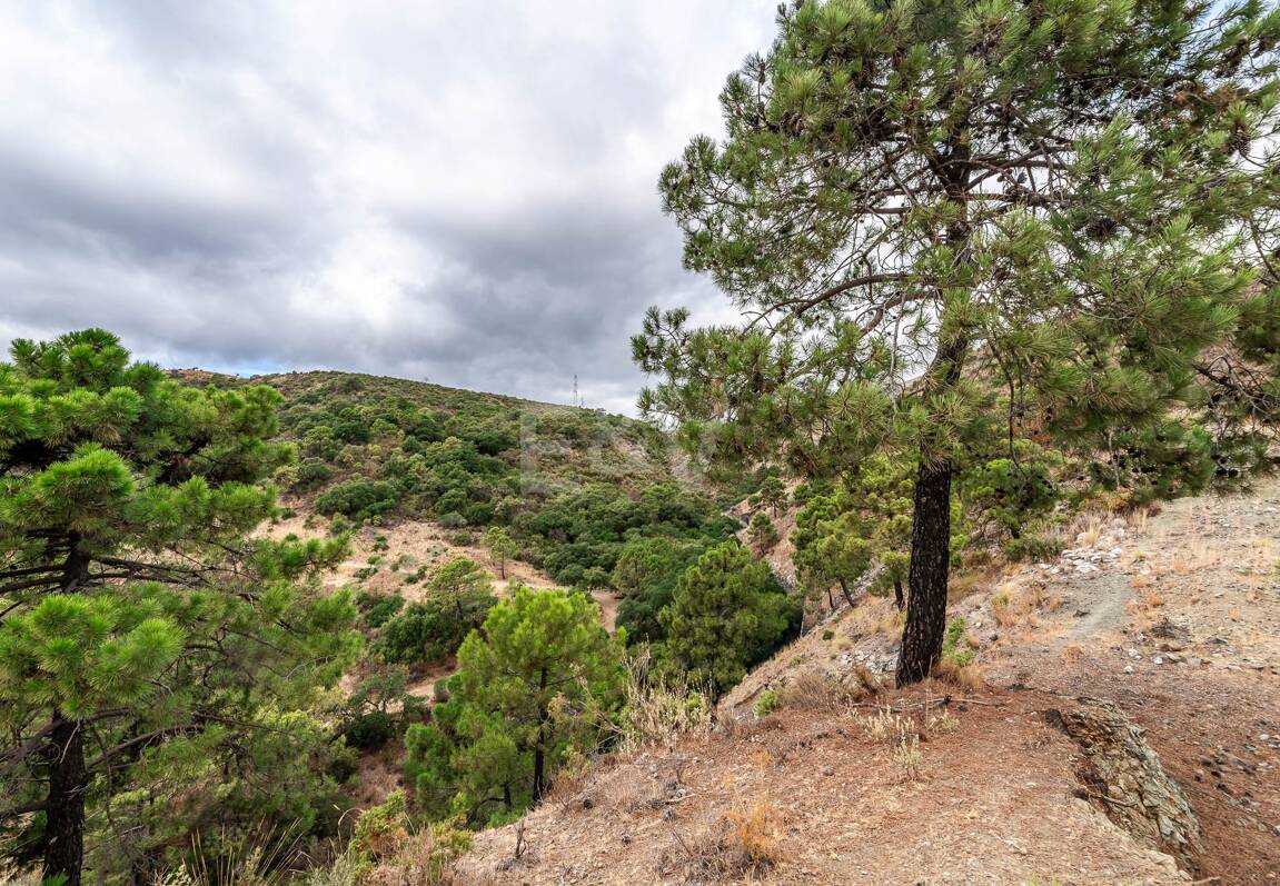 Oportunidad de Inversión Excepcional en La Zagaleta