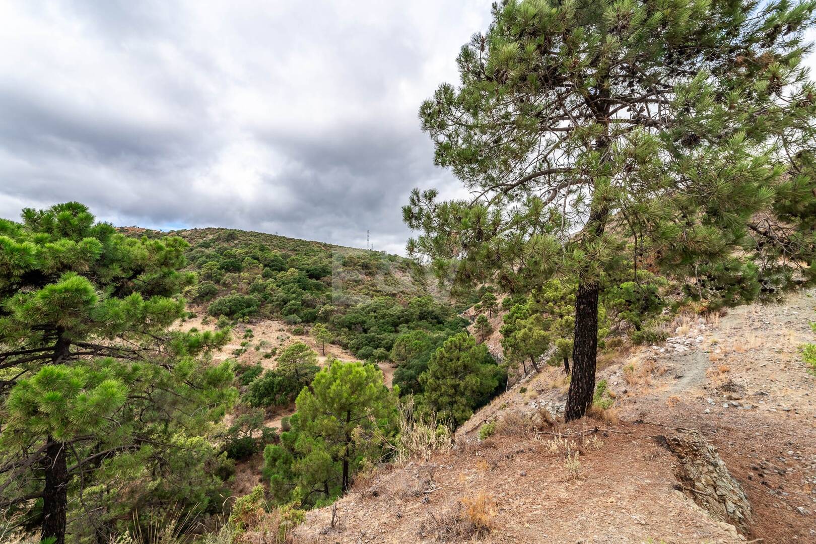 Possibilité d'investissement exceptionnelle à La Zagaleta Golf & Country Club