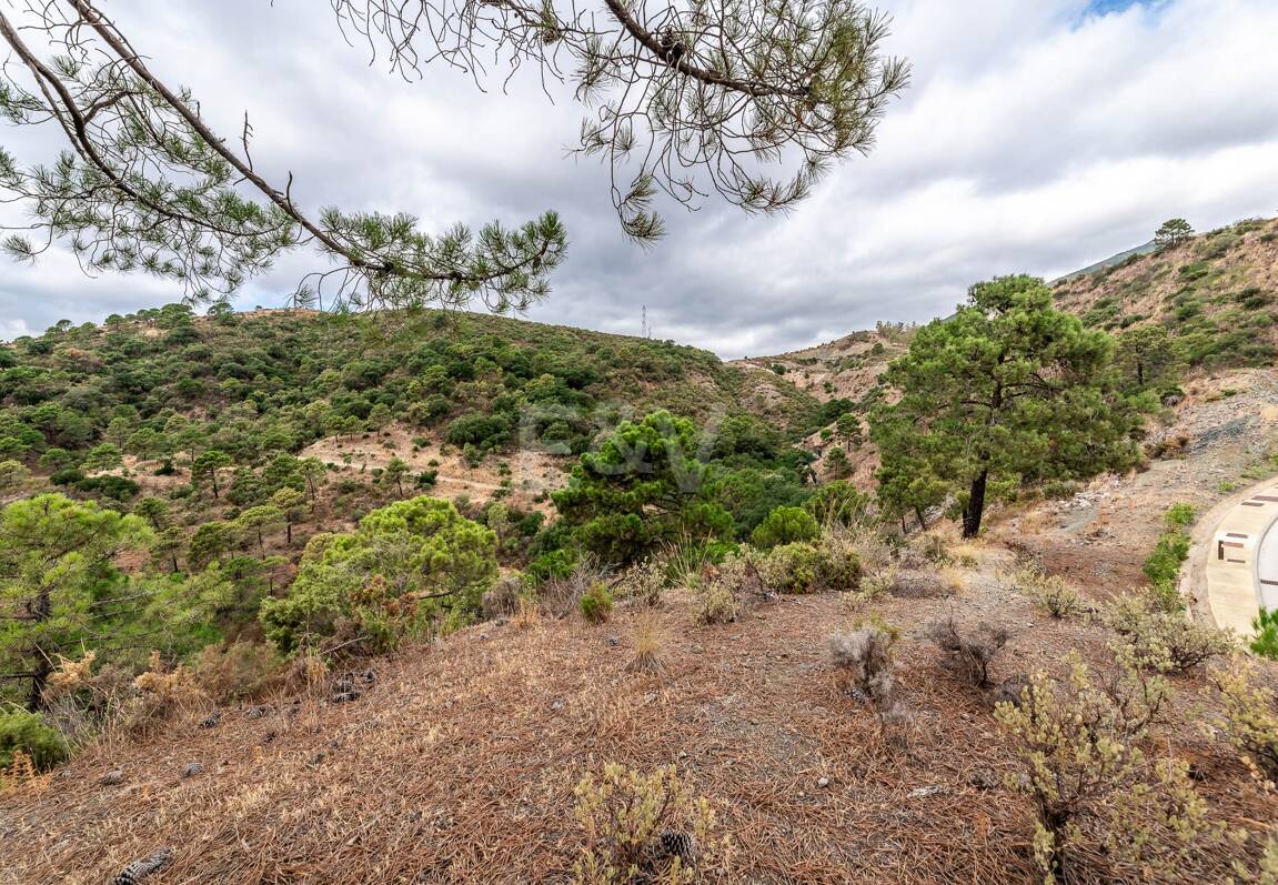 Oportunidad de Inversión Excepcional en La Zagaleta