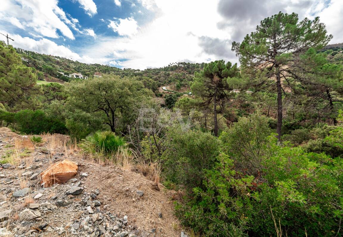 Oportunidad de Inversión Excepcional en La Zagaleta