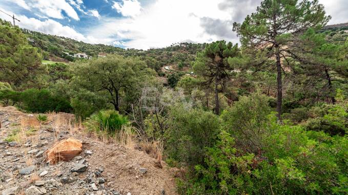 Possibilité d'investissement exceptionnelle à La Zagaleta Golf & Country Club