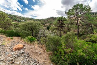 Oportunidad de Inversión Excepcional en La Zagaleta