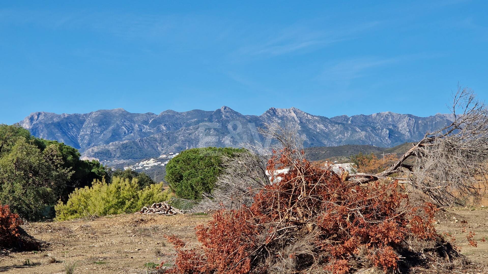 Wyjątkowe Okazja: Cztery Ploty w Elvirii z Projektem i Licencją oraz Spektakularnymi Widokami Morskimi