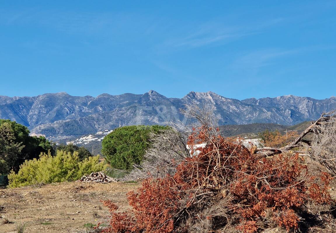 Exceptionell Möjlighet: Fyra toppar i Elviria med projekt och licens och med spektakulär utsikt över havet