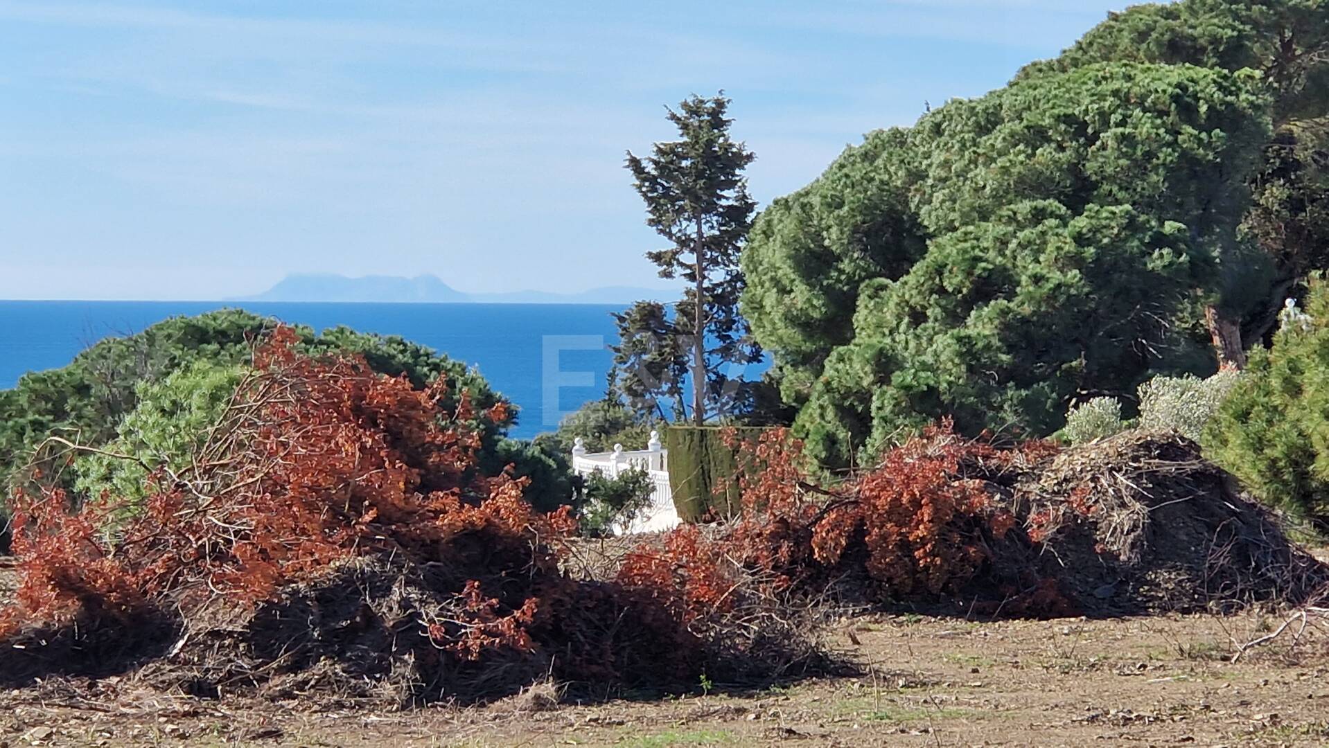 Exceptionell Möjlighet: Fyra toppar i Elviria med projekt och licens och med spektakulär utsikt över havet