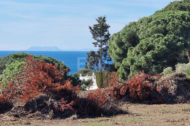 Exceptionell Möjlighet: Fyra toppar i Elviria med projekt och licens och med spektakulär utsikt över havet