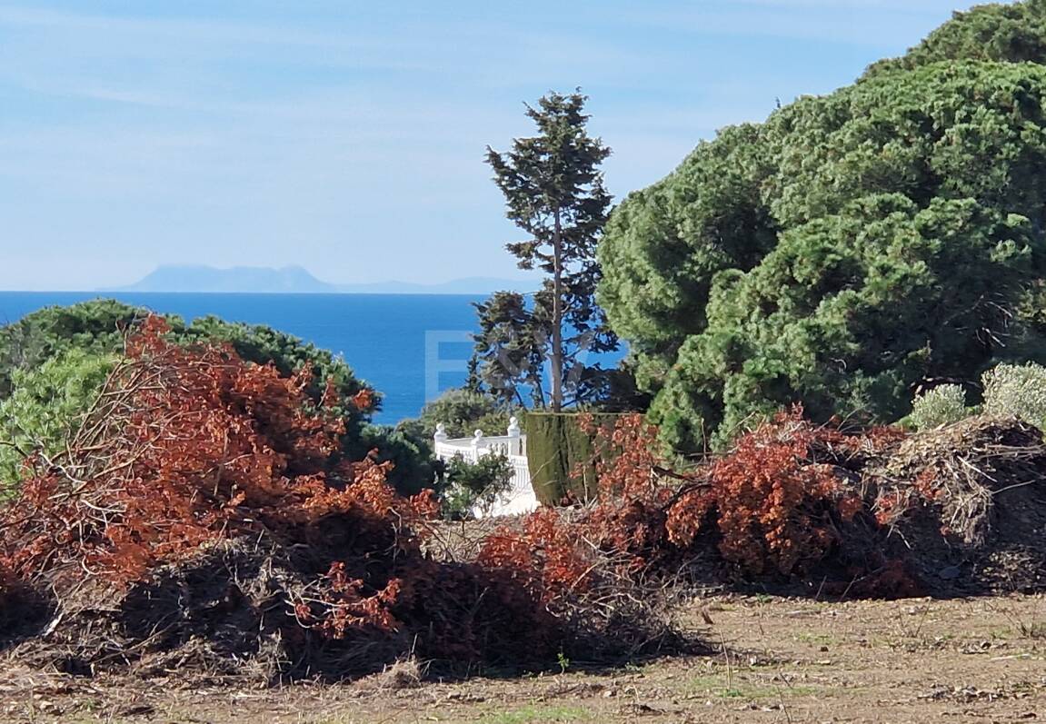 Exceptionell Möjlighet: Fyra toppar i Elviria med projekt och licens och med spektakulär utsikt över havet