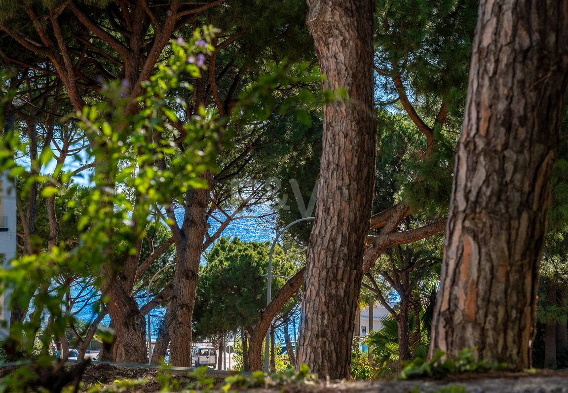 Garden Apartment Steps from the Sea