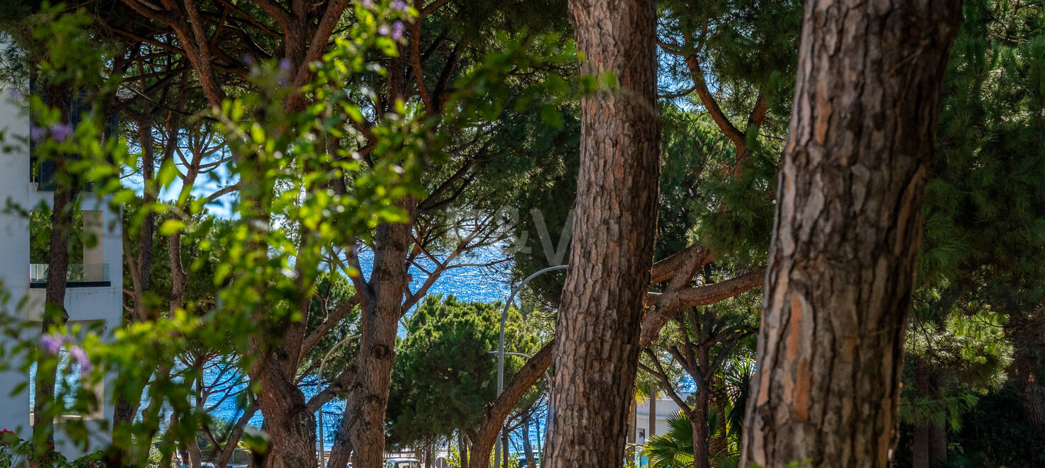 Ground Floor Apartment with Private Garden Steps from the Sea