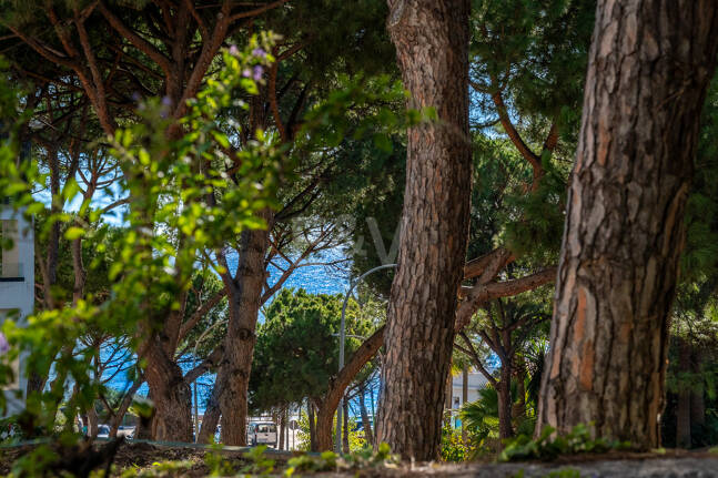 Garden Apartment Steps from the Sea