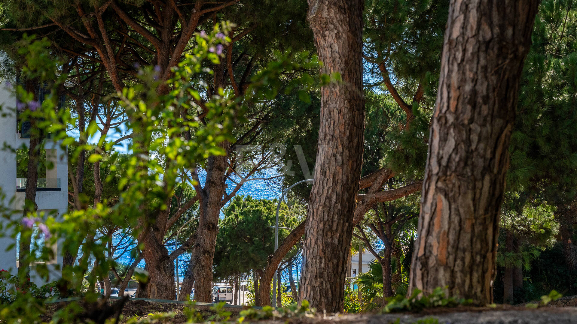 Garden Lägenhet steg från havet