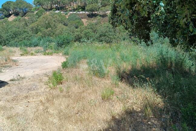 Plats i tyst område i Elviria