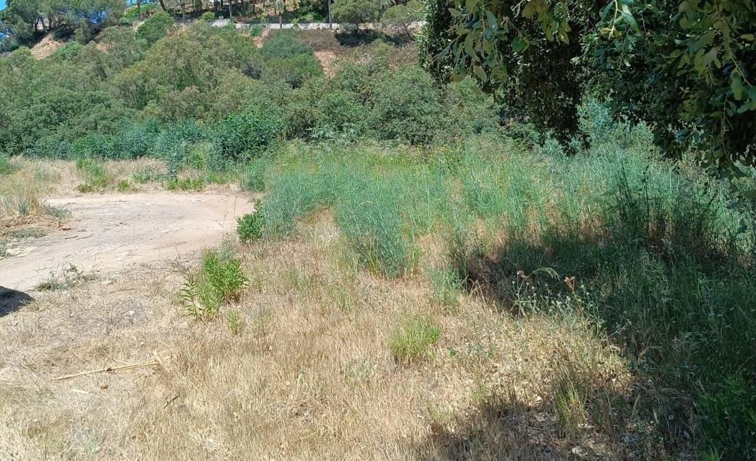 Grundstück in ruhiger Lage in Elviria